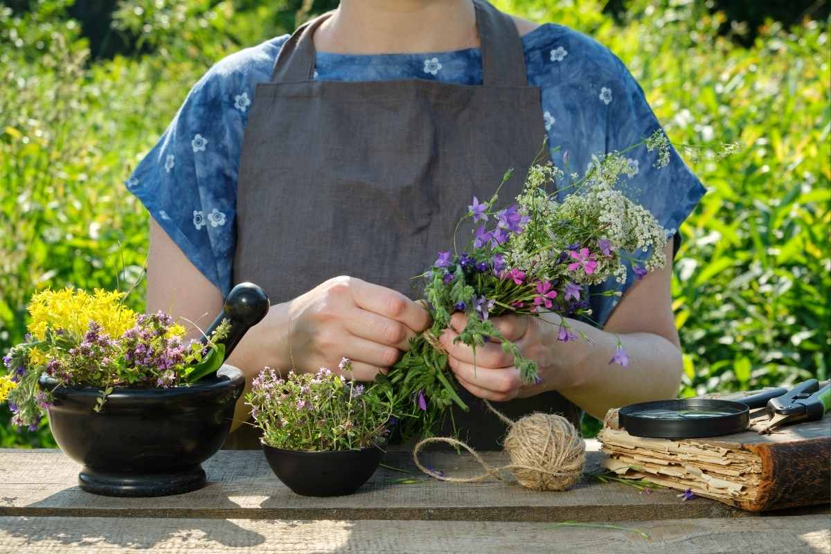 Comment créer un jardin de plantes médicinales